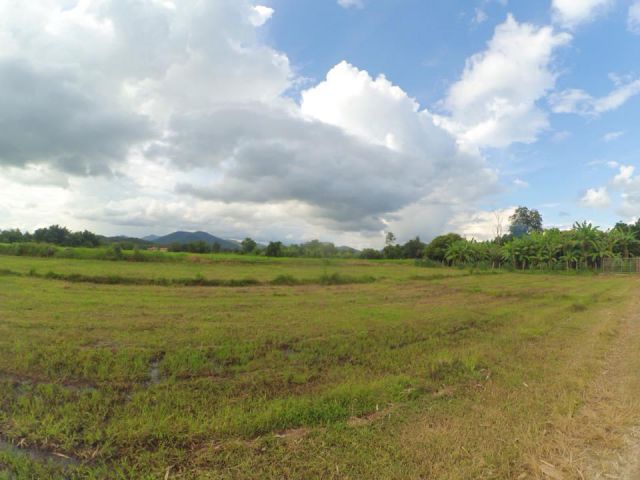 ขายที่ดินแปลงสวย บ้านกอลาน ต.ลวงเหนือ อ.ดอยสะเก็ด จ.เชียงใหม่