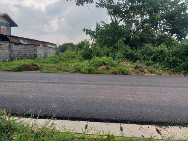 ขายที่ดินเปล่าใกล้แม่น้ำโขง