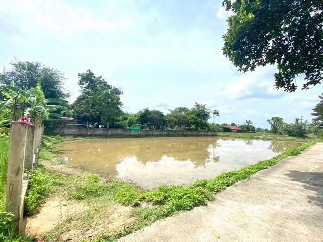 S00604 ขายที่นา หลังวัดสันมะฮกฟ้า ต้นเปา สันกำแพง