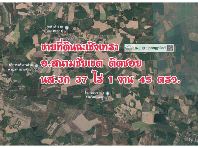 ขายที่ดินฉะเชิงเทรา อ.สนามชัยเขต ติดซอย 37 ไร่ 1 งาน 45 ตรว. ไร่ละ 199,999 บาท