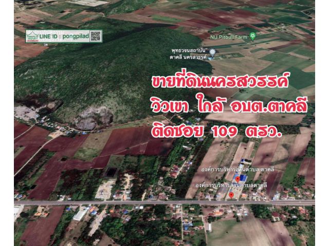 ขายที่ดินนครสวรรค์ วิวเขา ใกล้ อบต.ตาคลี ติดซอย 109 ตรว.