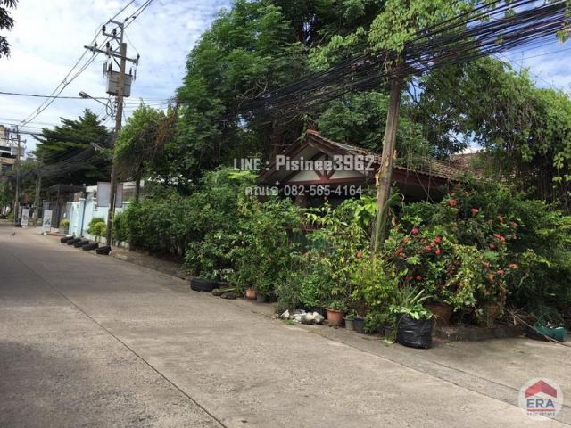 ขายบ้านเดี่ยว 63 ตรว. หมู่บ้านเจริญสุข