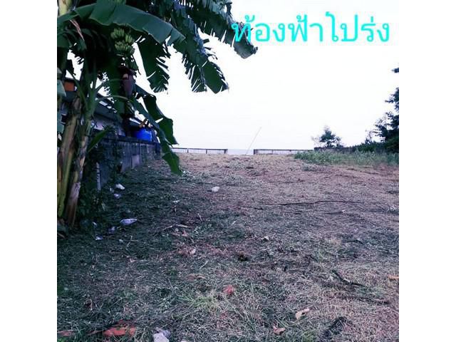 ทรัพย์คุ้มค่าราคาจับต้องได้ขายที่ติดทะเล ชุมพร