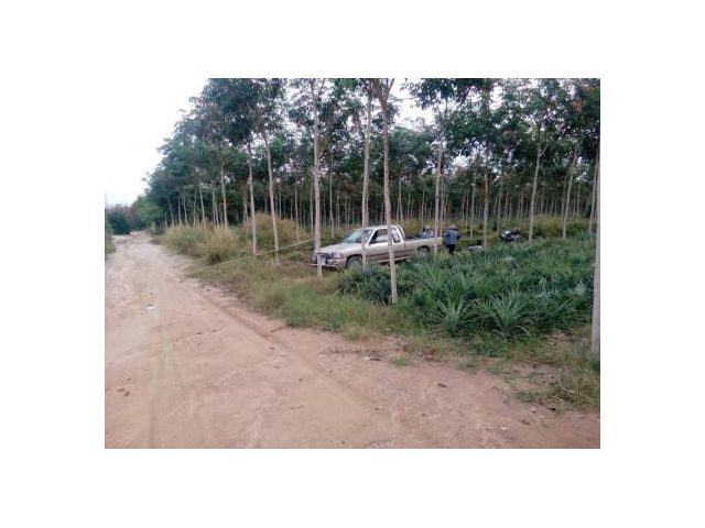 ขาย ที่ดิน WF025 ใกล้นิคมอุตสาหกรรมมาบตาพุด ระยอง ที่ดินเปล่า 13 ไร่ 1 งาน 68 ตร.วา ผัง EEC ส้ม ราคาถูก เหมาะพัฒนาโครงกา