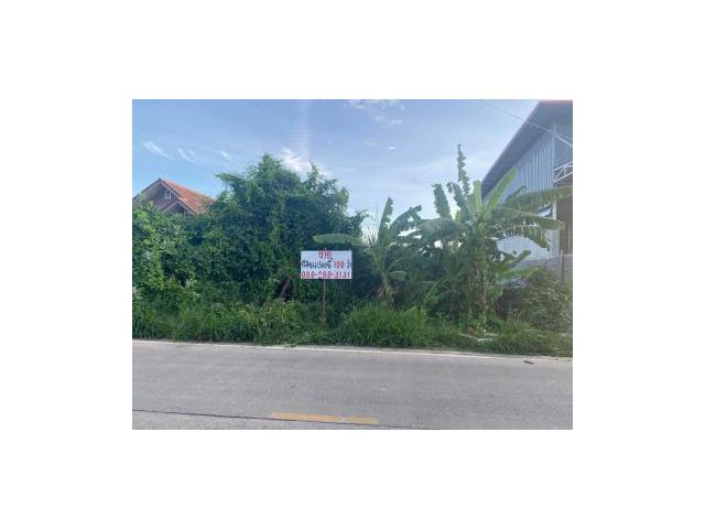 ขายที่ดิน 100 ตร.ว ซ.ลำลุูกกา 69(เบญจญานี) ถมแล้ว สร้างโกดังโรงงานได้
