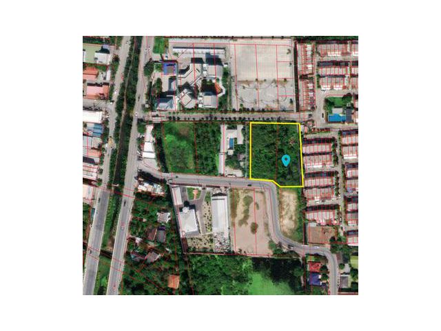 ขายที่ดิน ถนนพุทธมณฑลสาย1 บางด้วน ภาษีเจริญ กทม