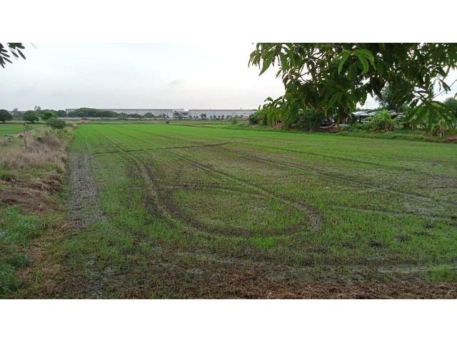 ขายที่ดิน 7-2-85 ไร่ บ้านช้าง อ.อุทัย จ.อยุธยา