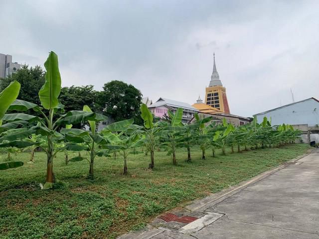 ขายที่ดินแปลงสวย-ถมแล้ว 363 ตร.ว สุขุมวิท101/1