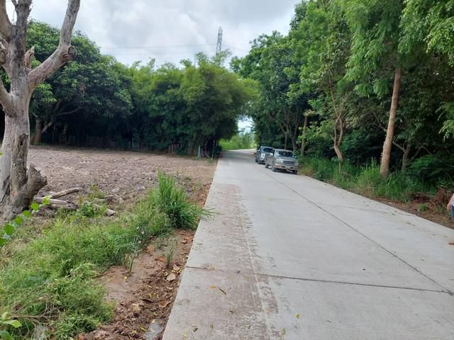 ขายที่ดินติดถนน ที่สวย ทำเทอุตสาหกรรม ระยอง