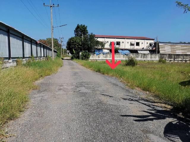 ให้เช่าที่ดินที่คลอง 6 จ.ปทุมธานี ขนาด1 ไร่