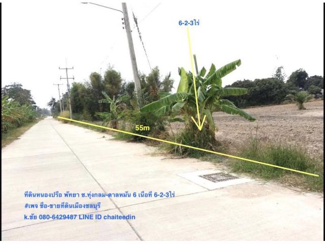 @@@ขายที่ดินหนองปรือ พัทยา ชลบุรี เนื้อที่ 6-2-3ไร่ หน้ากว้าง 55เมตร ลึก 220เมตร ##