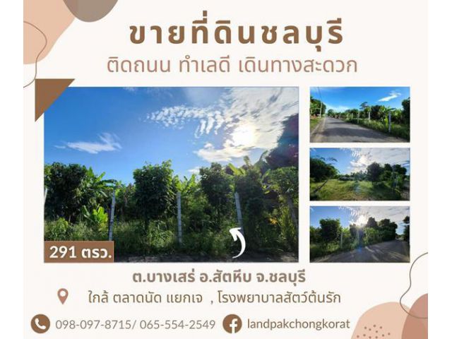 ขายที่ดินสัตหีบ ติดถนน ใกล้ถนนสุขุมวิทเพียง 300 เมตร ทำเลดี ต.บางเสร่ อ.สัตหีบ จ.ชลบุรี