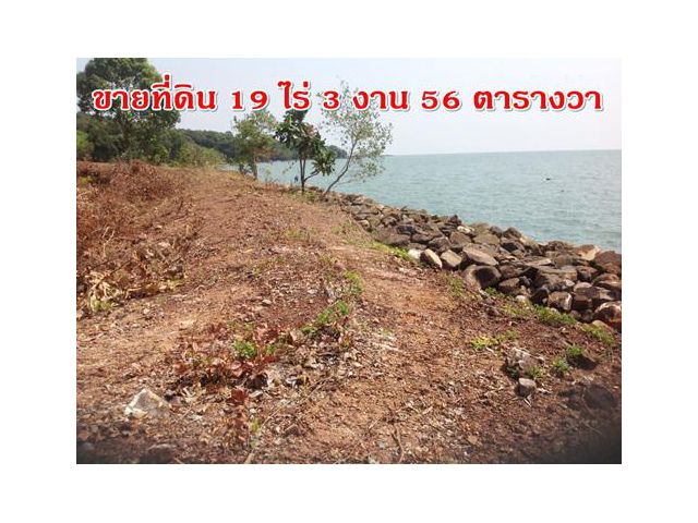 ขายที่ดินสวย ติดทะเล  19 ไร่ 3 งาน 56 ตารางวา - ตำบลหาดเล็ก อำเภอคลองใหญ่ จังหวัดตราด พื้นที่เศรษฐกิจพิเศษ