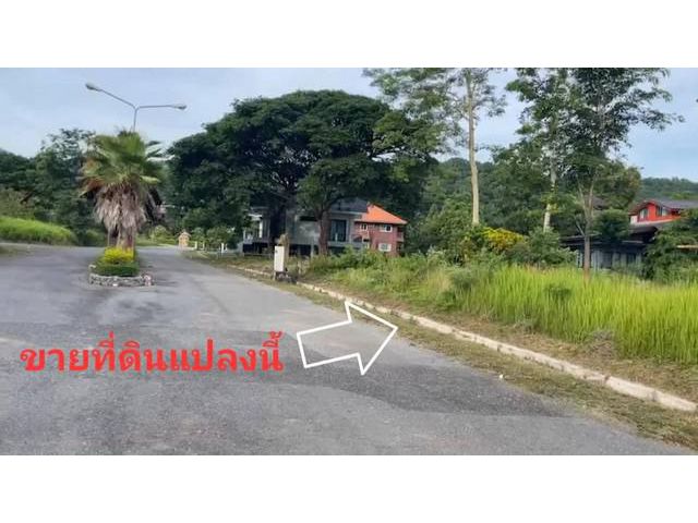 ขายที่ดินเปล่า โครงการภูภัทรา 3 ปากช่อง