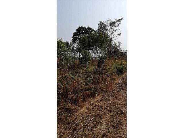ขายที่ดินบ่อทอง 1 ไร่ กบินทร์บุรี ใกล้ถนนสุวรรณศร 33 - 400 เมตร กบินทร์บรี ปราจีนบุรี