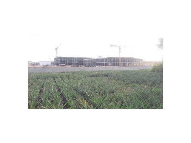 ขาย ที่ดิน WF048 มาบยางพร ปลวกแดง ระยอง ผัง EEC สีม่วง หน้ากว้าง ติดถนนสาธารณะ 2 ด้าน ซอย 14 ขนาด 24 ไร่ 14 ตร.วา อยู่ใน