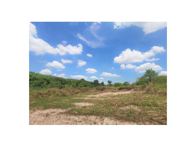ขาย ที่ดิน WF057 ราคาถูก เหมาะสร้างโรงงาน ผังEEC สีม่วงลาย บ่อวิน ศรีราชา ชลบุรี ที่ดินเปล่า 43 ไร่ 2 งาน 33 ตร.วา รูปแป