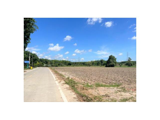 ขาย ที่ดิน WF058 หน้ากว้าง 101 m แยกมาบข่า นิคมพัฒนา ระยอง ที่ดินเปล่า 29 ไร่ 33.5 ตร.วา ผัง EEC ส้ม ห่างถนนสาย 3191 ถนน