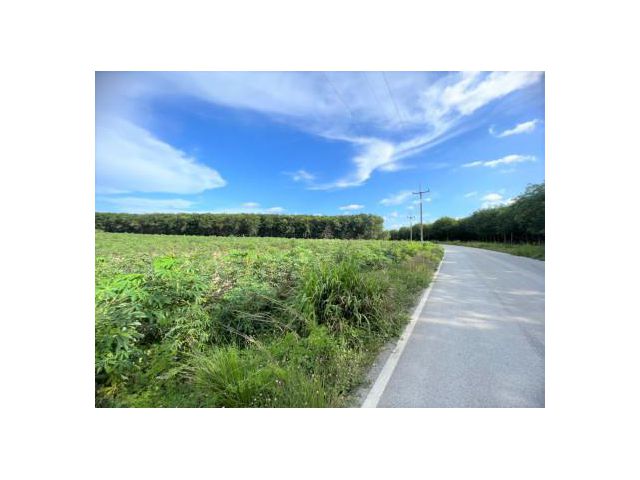 ขาย ที่ดิน WF059 หนองละลอก บ้านค่าย ระยอง . 27 ไร่ 70.3 ตร.วา หน้ากว้าง 213 m ติดถนนสาธารณะ ห่างถนนทางหลวงหมายเลข 3574 เ