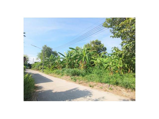 ขาย ที่ดิน WF075 เมืองระยอง ผัง EEC สีแดง รูปแปลงสวย หน้ากว้าง 40 m. 3 งาน 96.4 ตร.วา ติดถนนสาธารณะ 2 ด้าน ห่างเซ็นทรัลร