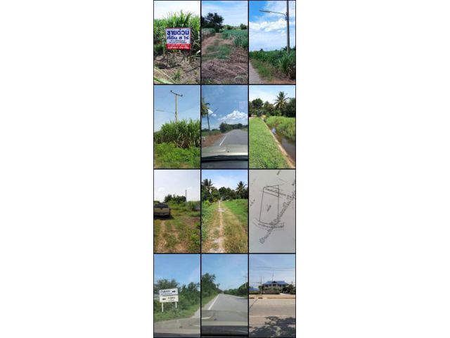 ขายด่วน ที่ดิน 8 ไร่ อยู่ติดถนน 2 ด้าน พร้อมเสาไฟฟ้าหน้าที่ดิน อู่ทอง สุพรรณบุรี