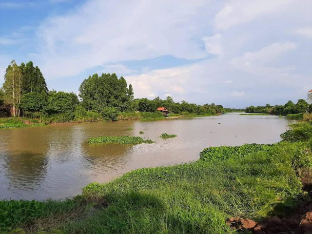 ขายที่ดินบ้านสร้างติดแม่น้ำบางปะกง 1 ไร่ ถมแล้วพร้อมสวนผลไม้บางส่วนแถมที่งอก 100 ตรว. จ.ปราจีนบุรี