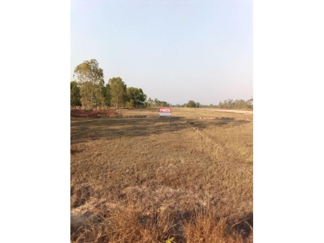 ขายด่วน ขายถูก ที่นาสวย ใกล้วัดพระธาตุพนม ติดอ่างเก็บน้ำ