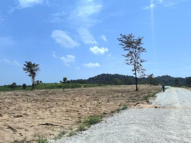 ขาย ที่ดิน WF092 วิวเขา 360องศา ธรรมชาติโอบล้อม หนองขาม ศรีราชา ชลบุรี. 5 ไร่ไฟฟ้า ปะปา แบ่งขาย 1 ไร่ต่อแปลงได้ เหมาะ บ้