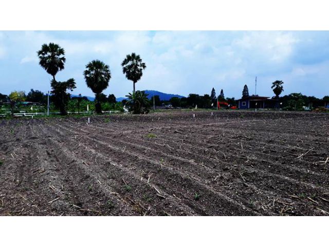 ขายที่ดินวิวเขาสวยทำเลดี บรรยากาศดีดินดีน้ำชุ่ม เหมาะสร้างบ้านสวนมี ไฟฟ้าปะปาพร้อม ฉ.ครุฑแดง