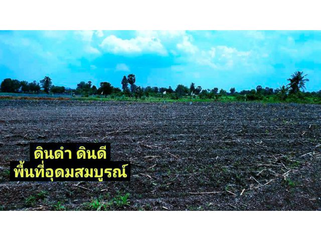 ขายที่ดินวิวเขาสวยทำเลดี บรรยากาศดีดินดีน้ำชุ่ม เหมาะสร้างบ้านสวนมี ไฟฟ้าปะปาพร้อม ฉ.ครุฑแดง