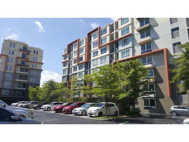 For Sale : D Condo Kathu-Patong Phuket,1B1B