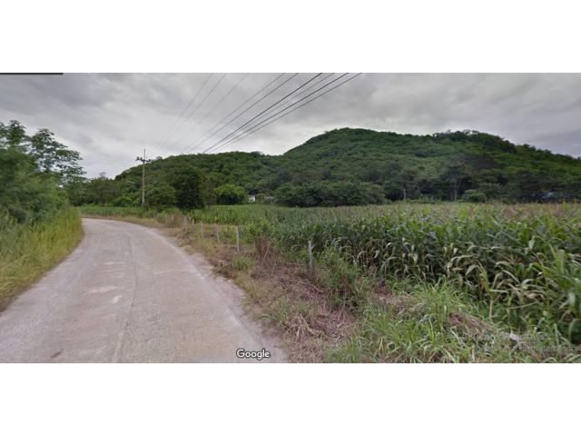 ขายที่ดินเขาใหญ่ เส้นธนะรัชต์ หนองน้ำแดง 13 ไร่ ใกล้อุทยานแห่งชาติเขาใหญ่ จากธนรัชต์ 1 กม. ทำเลดีมาก ใกล้ปั้มปตท กม7 วิว