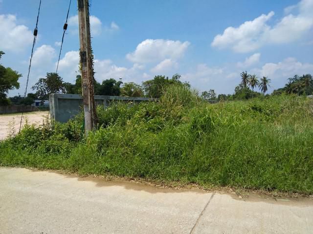 ขายที่ดินทุ่งขวาง 8 ไร่ ติดถนนคอนกรีต ใกล้ถนนเส้นอบต.ทุ่งขวาง - 750 เมตร พนัสนิคม ชลบุรี