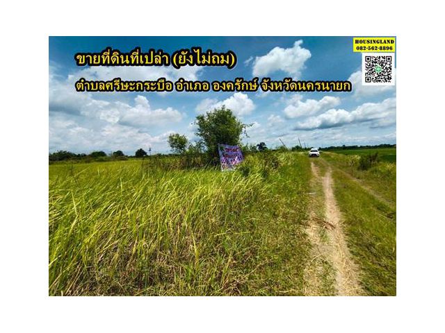 ขายที่ดินที่เปล่า (ยังไม่ถม)  ตำบลศรีษะกระบือ อำเภอองครักษ์ จังหวัดนครนายก ซอยโรงเรียนหนองขุม