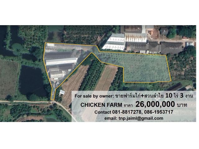 ขายฟาร์มไก่ ตำบลบ้านกลาง อำเภอสันป่าตอง จังหวัด​เชียงใหม่ (POULTRY (CHICKEN) FARM FOR SALE by owner)