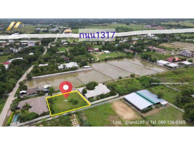ขายที่ดินสันกำแพง เส้นสันกำแพงสายใหม่(1317) เนื้อที่ 247 ตร.ว. ติดถนน2ด้าน วิวเขา วิวนา หันหน้าไปทิศเหนือ เหมาะสร้างบ้าน