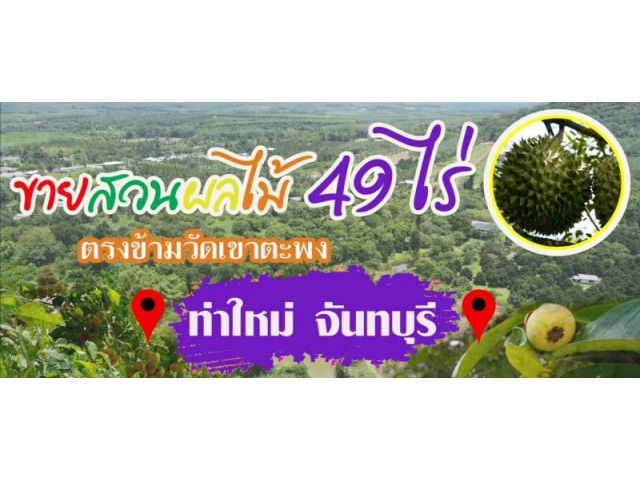ขายสวนผมไม้ จังหวัด จันทบุรี