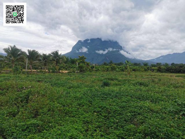 ที่ดินวิวดอยหลวงสวยๆ ใกล้ ที่ว่าการอำเภอเชียงดาวเพียง 2.8km ขนาดที่ดิน 4ไร่ 49ตรว. ขายไร่ละ 1.5ล้านบาท  น้ำไฟเข้าถึง