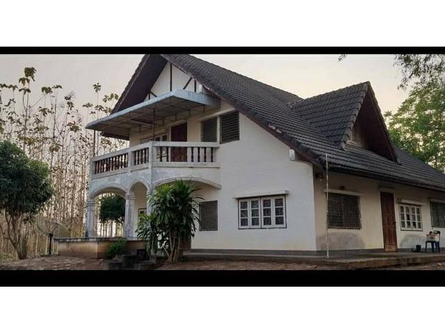 ที่ดิน 116 ไร่ พร้อมสวนป่าสัก อ.วังสะพุง จ.เลย