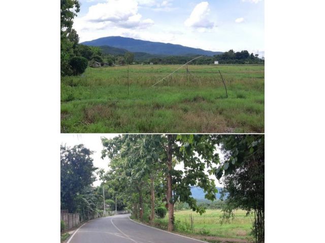 ขายที่ดินโฉนดวิวดอยสุเทพ ต.น้ำแพร่เนื้อที่ราว 1ไร่