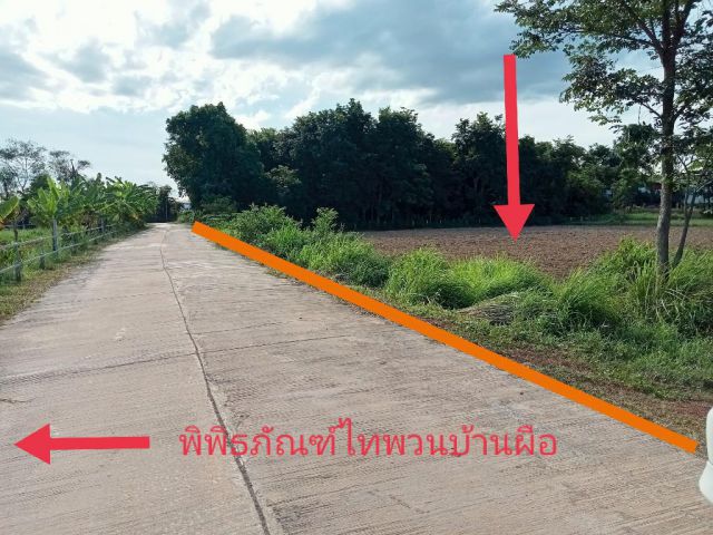 ขายที่ดินบ้านผือ ใกล้พิพิธภัณฑ์ไทพวนบ้านผือ