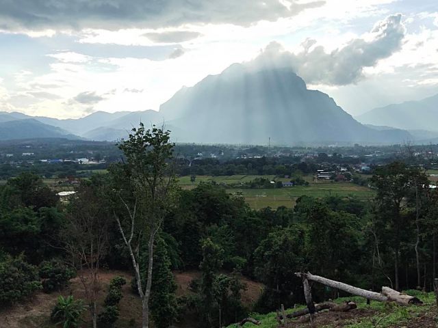 ขายที่สวนทำเลดีเนื้อที่15ไร่