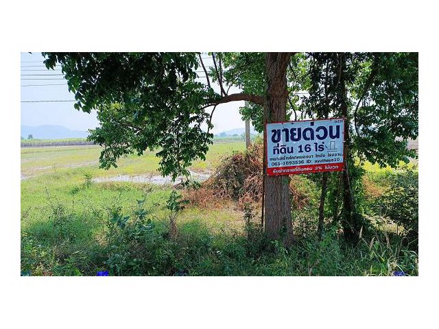 ขายด่วน ที่ดินสี่เหลี่ยม16 ไร่ เหมาะสร้างโกดัง สวนเกษตร  ห้วยกระเจา กาญจนบุรี