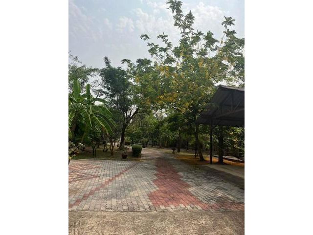 ขายที่ดิน ริมแม่น้ำแม่กลอง สมุทรสงคราม