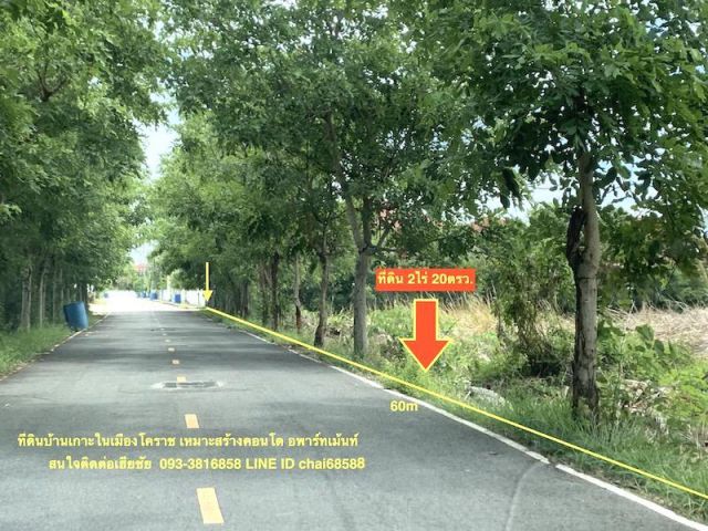 ###ขายที่ดินบ้านเกาะ 2-0-20 ไร่ ใกล้ห้างโกลบอลล์เฮ้าส์เมืองโคราช หน้ากว้าง 60 เมตร #