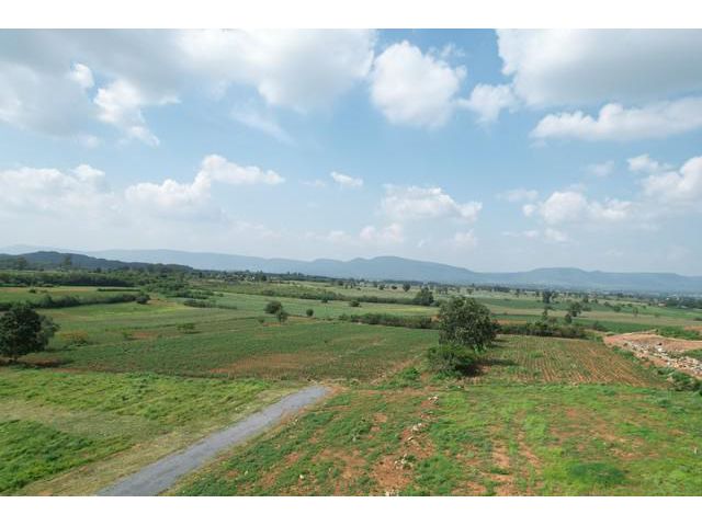 ที่ดินวิวเขาใหญ่บรรยากาศดี 1 ไร่ ใกล้ถนนเส้น 2235 จ.นครราชสีมา