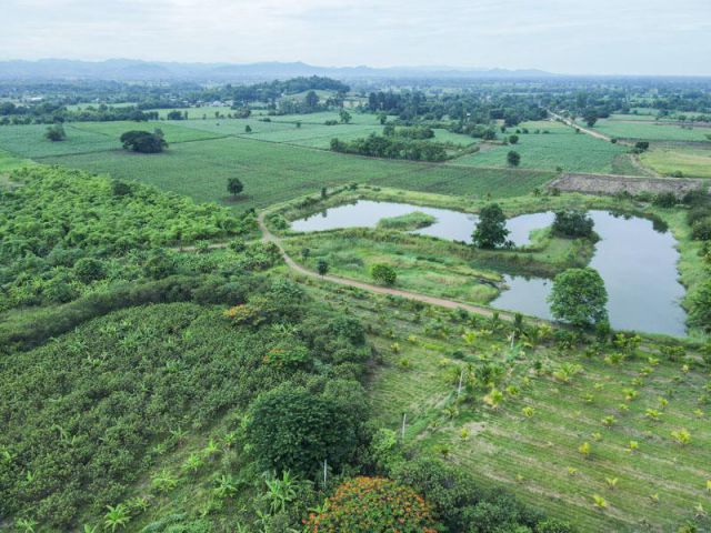 ขายที่ดิน ผืนใหญ่ 2000 ไร่ (350 ล้านบาท) ตำบล น้ำร้อน อำเภอ วิเชียรบุรี จังหวัด เพชรบูรณ์