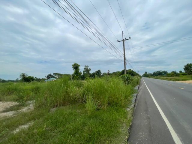 ขายที่ดินเกาะขนุน เริ่มต้น 68 ตรว. หนองเสือ ถมแล้ว ใกล้ถนนเส้นสัตหีบ - พนมสารคาม(331) 1.9 กม. พนมสารคาม จ.ฉะเชิงเทรา