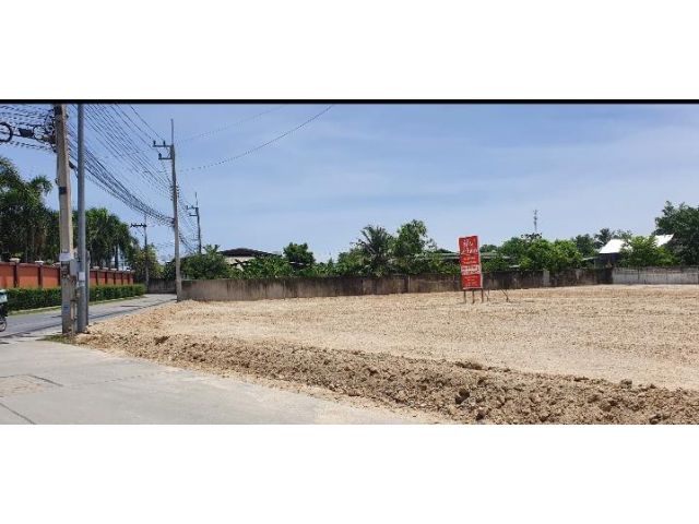 ให้เช่าที่ดิน ในกลางอมตะนคร หน้า 85.5เมตร