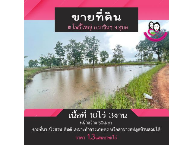 ขายที่ดินเนื้อที่ 10ไร่ 3งาน ตำบลโพธิ์ใหญ่ อ.วารินชำราบ จ.อุบลราชธานี